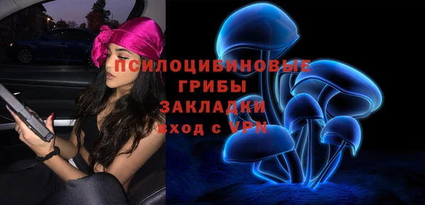 соль ск Балабаново