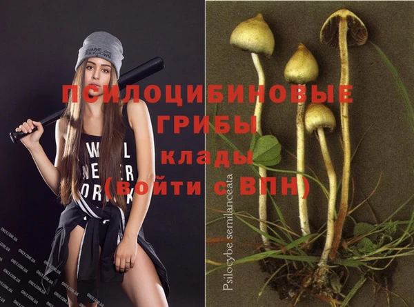 твердый Баксан