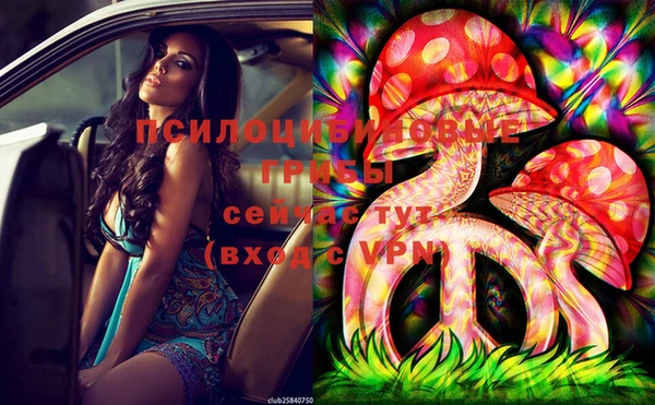мдпв Тихорецк