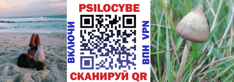 Галлюциногенные грибы мицелий  Коряжма 